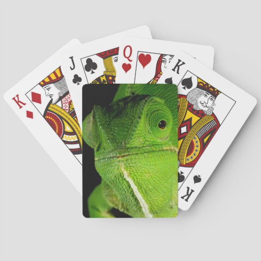 Portret van flap-necked chameleon speelkaarten (Achterkant)