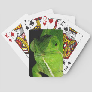 Portret van flap-necked chameleon speelkaarten