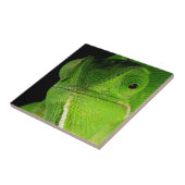 Portret van flap-necked chameleon tegeltje (Zijkant)