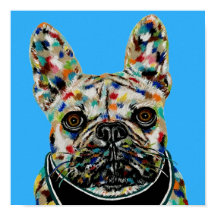 Portret van Franse Bulldog