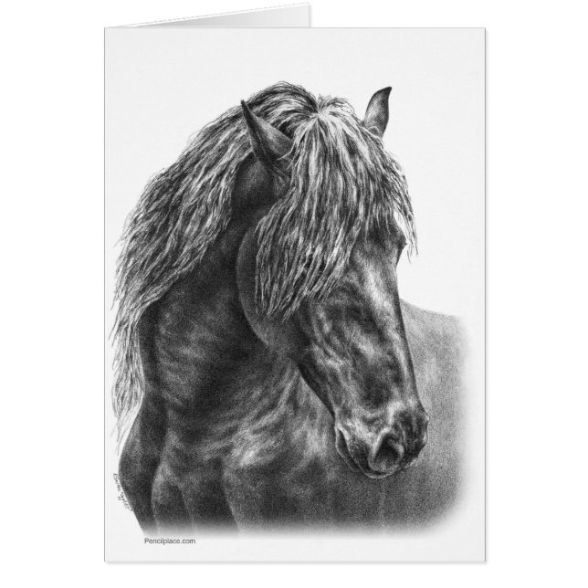 Portret van Friesian Horse Tekening door Kelli Swa (Voorkant)