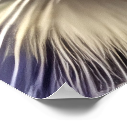 Portret van gele oogkat | AI Art Poster (Hoek)