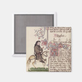 Portret van Geoffrey Chaucer-facsimile van Magneet (Voorkant / Achterkant)