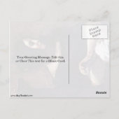 Portret van George Sand door Eugene Delacroix Briefkaart (Achterkant)