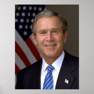 portret van George W. Struik Poster