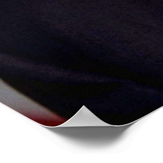 portret van George W. Struik Poster (Hoek)