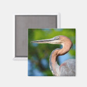 Portret van Goliathreiger gezien vanuit profiel Magneet (Voorkant / Achterkant)