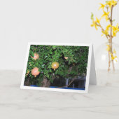 Portret van granaatappelboom kaart (Gele Bloem)