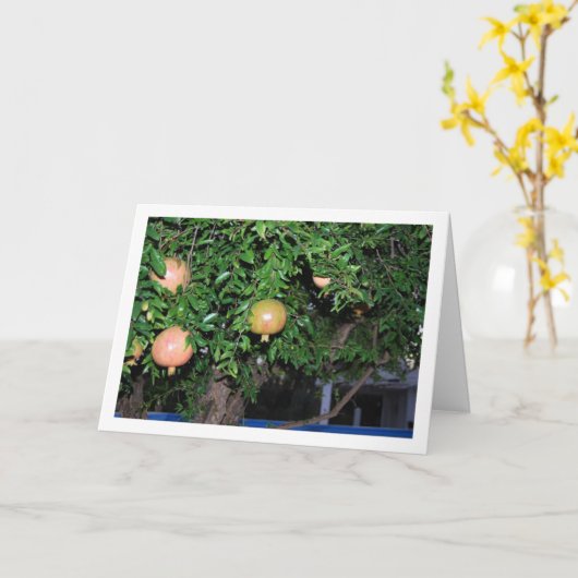 Portret van granaatappelboom kaart (Gele Bloem)