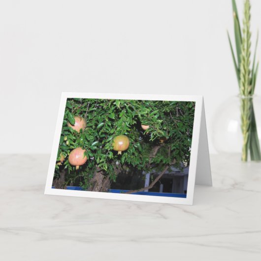 Portret van granaatappelboom kaart (Voorkant)