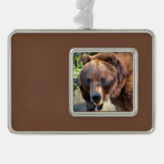 Portret van Grizzly beer Briefkaart Square Sticker Verzilverd Omlijst Ornament