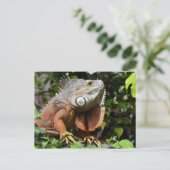 Portret van groene leguanen briefkaart (Staand voorkant)