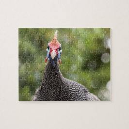 Portret van Guinee-Fowl Legpuzzel