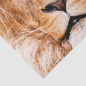Portret van het Afrikaanse "Lion Wildlife Animal C Tissuepapier (Detail)
