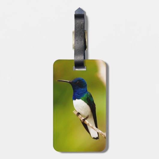 Portret van het Bagagelabel van de Overdenking (Achterkant verticaal)