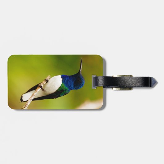 Portret van het Bagagelabel van de Overdenking (Achterkant horizontaal)