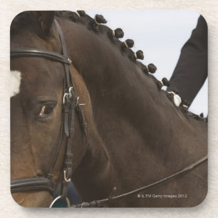 portret van het dressage-paard onderzetter