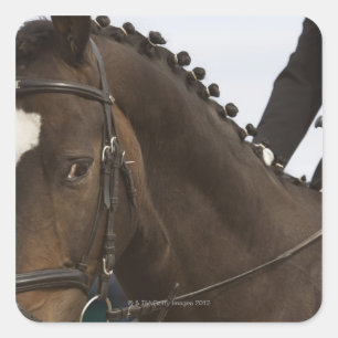 portret van het dressage-paard vierkante sticker