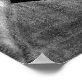 Portret van het paard Lusitano Dressage Poster (Hoek)