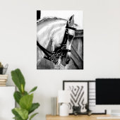 Portret van het paard Lusitano Dressage Poster (Thuiskantoor)