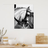 Portret van het paard Lusitano Dressage Poster (Keuken)