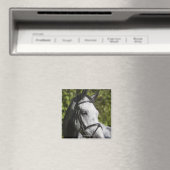 portret van het witte paard 2 magneet (Insitu (Vaatwasser))