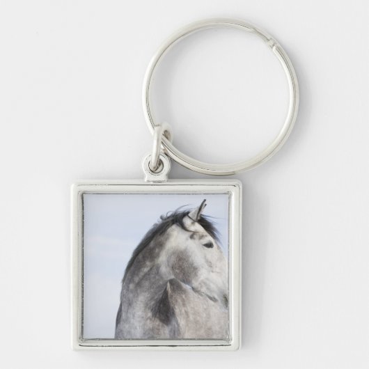 portret van het witte paard 2 sleutelhanger (Voorkant)