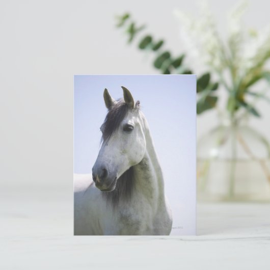 portret van het witte paard briefkaart (Staand voorkant)