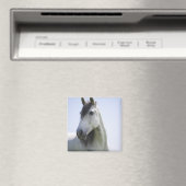 portret van het witte paard magneet (Insitu (Vaatwasser))
