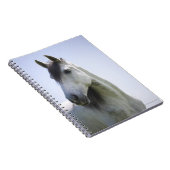 portret van het witte paard notitieboek (Rechterzijde)