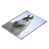 portret van het witte paard notitieboek (Linkerzijde)
