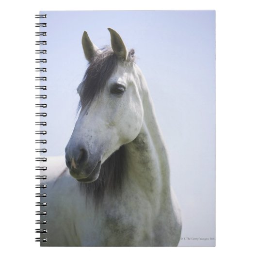 portret van het witte paard notitieboek (Voorkant)