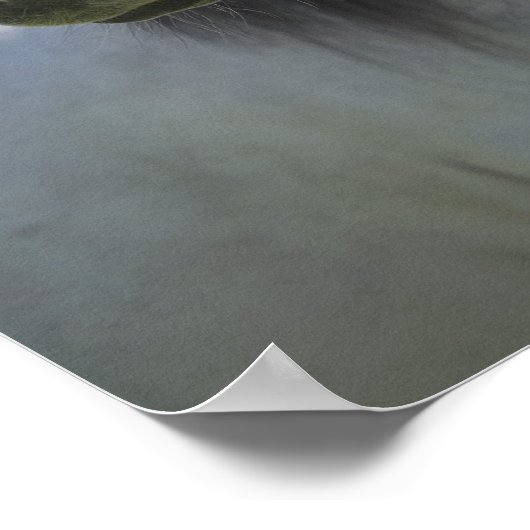 portret van het witte paard poster (Hoek)