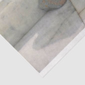 Portret van het Zee-ontkoppelingspapier Tissuepapier (Detail)