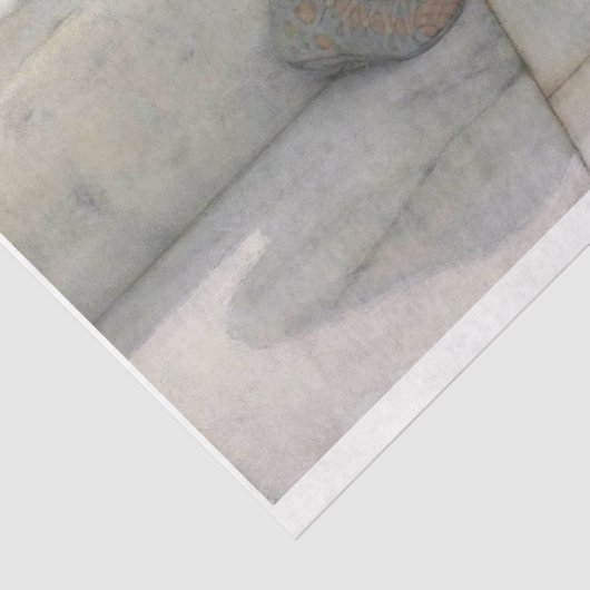 Portret van het Zee-ontkoppelingspapier Tissuepapier (Detail)