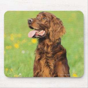 Portret van hond 2 muismat