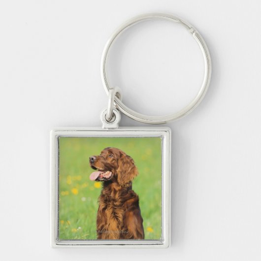 Portret van hond 2 sleutelhanger (Voorkant)
