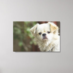 Portret van Hond 5 Canvas Afdruk