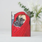 Portret van hond in rode deken briefkaart (Staand voorkant)