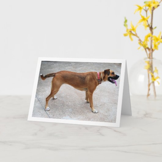 Portret van hond kaart (Gele Bloem)