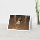 Portret van Hond op Vloer Kaart (Voorkant)