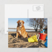 Portret van honden op het strand met zandspeelgoed briefkaart (Voorkant / Achterkant)