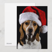 Portret van hondenhonden met kerstpet feestdagenkaart (Voorkant / Achterkant)