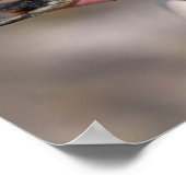 Portret van Humboldt pinguïn Poster (Hoek)