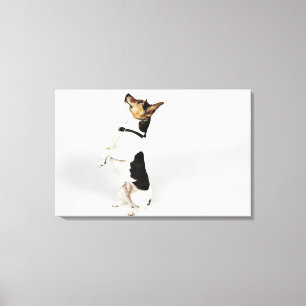 Portret van Jack Russell-hond op zijn stoel Canvas Afdruk