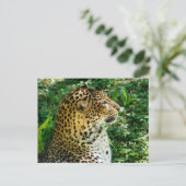 Portret van Javan leopard gezien vanuit profiel Feestdagenkaart (Staand voorkant)