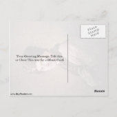 Portret van Jean-Jacques Rousseau door Allan Ramsa Briefkaart (Achterkant)