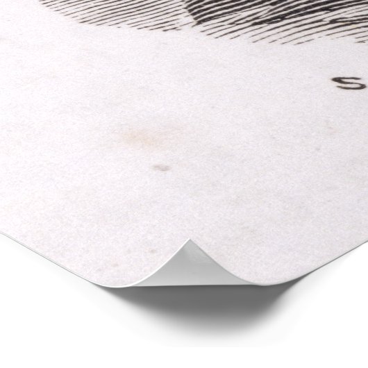 Portret van John Winthrop Poster (Hoek)