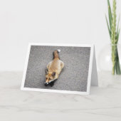 Portret van jonge vos die op straat ligt kaart (Voorkant)