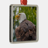 Portret van kale adelarend metalen ornament (Rechts)